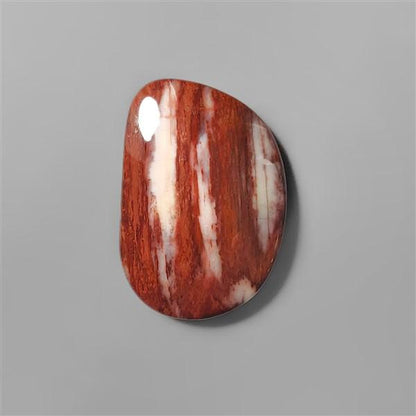 Petrified Wood|Wood