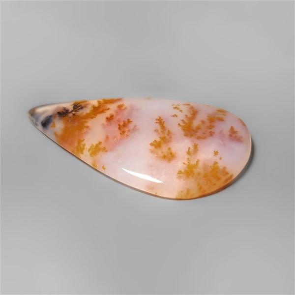 Agate|Dendritic Agate