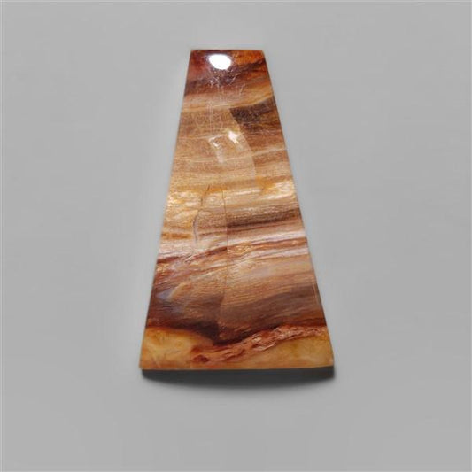 Petrified Wood|Wood