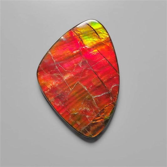 Ammolite