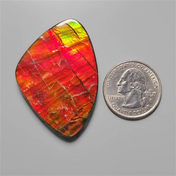 Ammolite