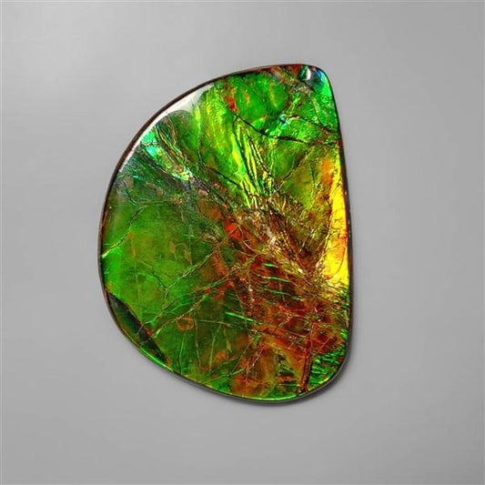 Ammolite