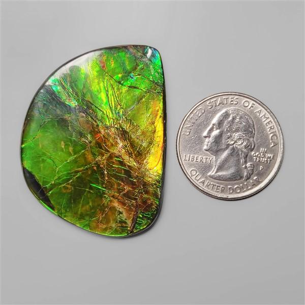 Ammolite