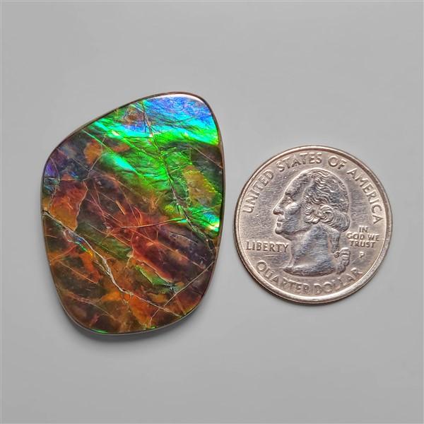 Ammolite