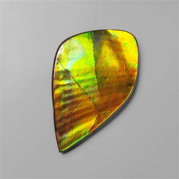 Ammolite