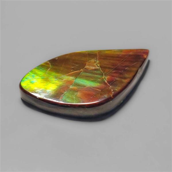 Ammolite