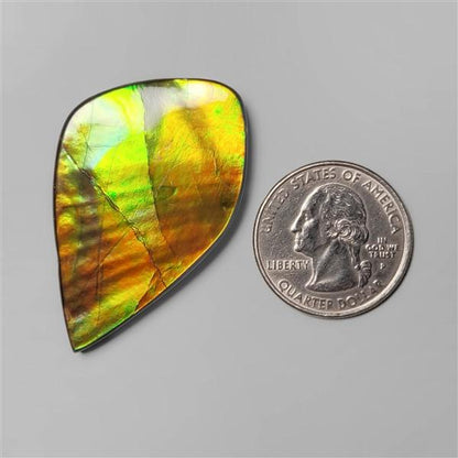 Ammolite