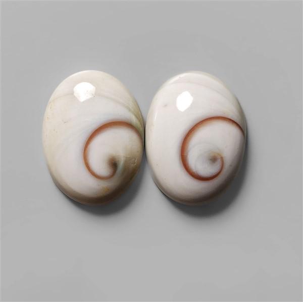 Shell|Shiva Eye Shell