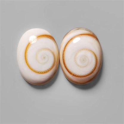 Shell|Shiva Eye Shell