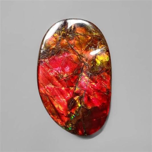 Ammolite