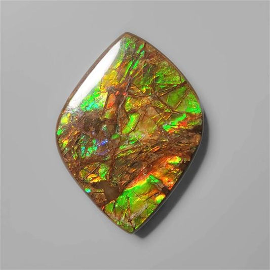 Ammolite