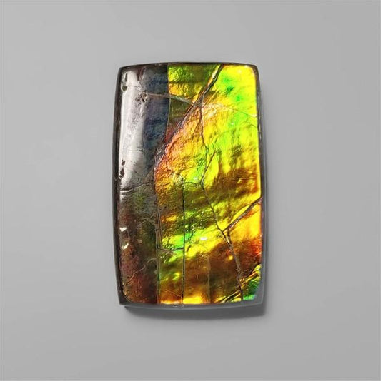 Ammolite