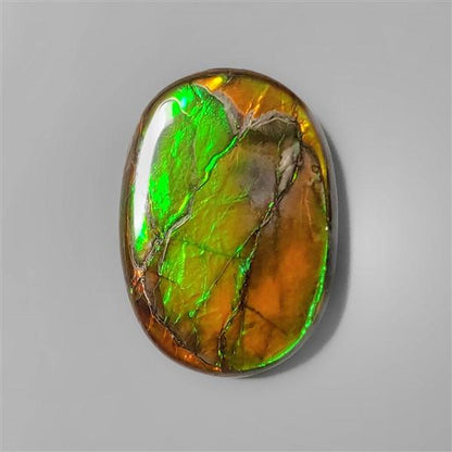 Ammolite