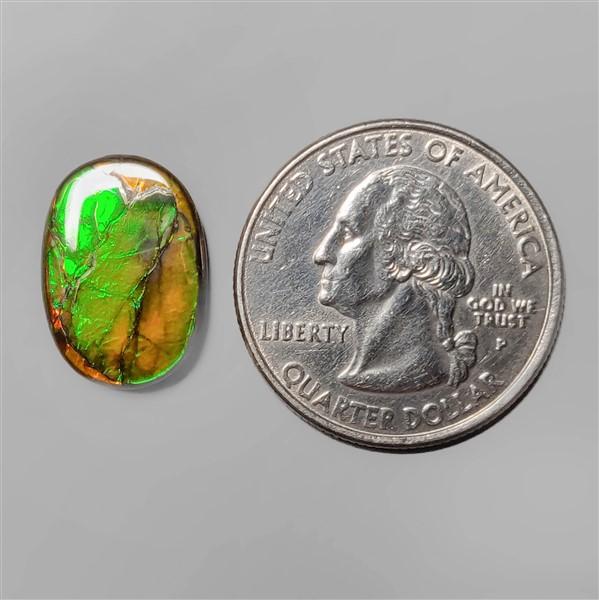 Ammolite