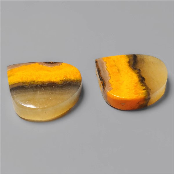 Bumble Bee Jasper