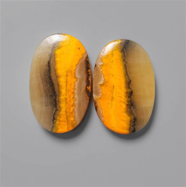 Bumble Bee Jasper