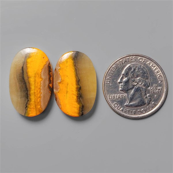 Bumble Bee Jasper