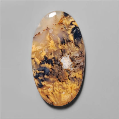 Agate|Dendritic Agate