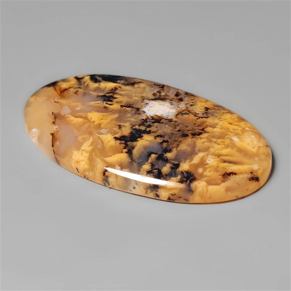 Agate|Dendritic Agate