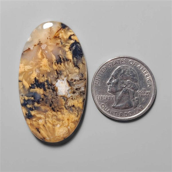 Agate|Dendritic Agate