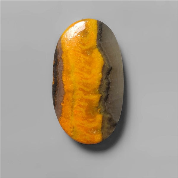 Bumble Bee Jasper