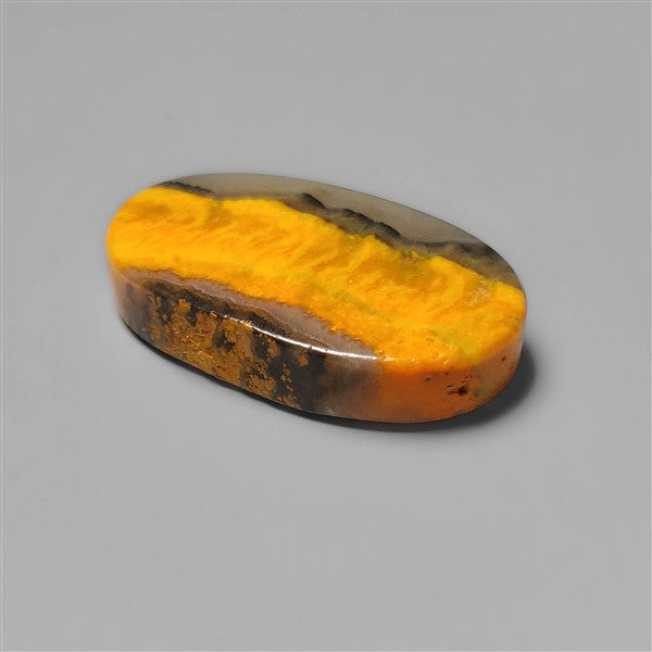 Bumble Bee Jasper