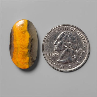 Bumble Bee Jasper