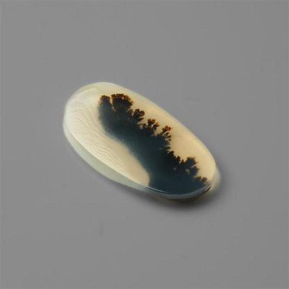 Agate|Scenic Agate