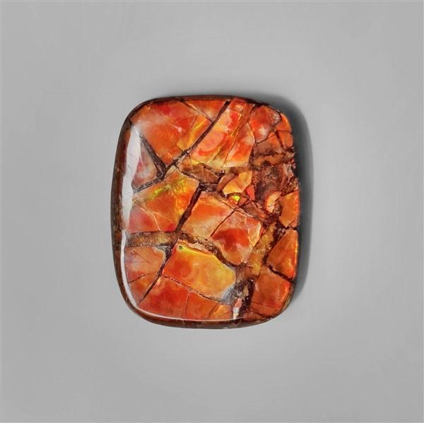 Ammolite