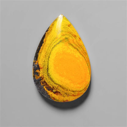 Bumble Bee Jasper