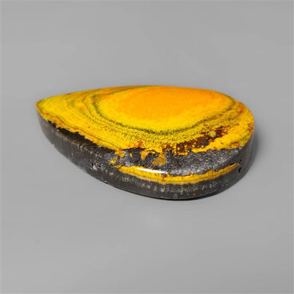 Bumble Bee Jasper