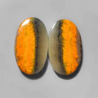 Bumble Bee Jasper