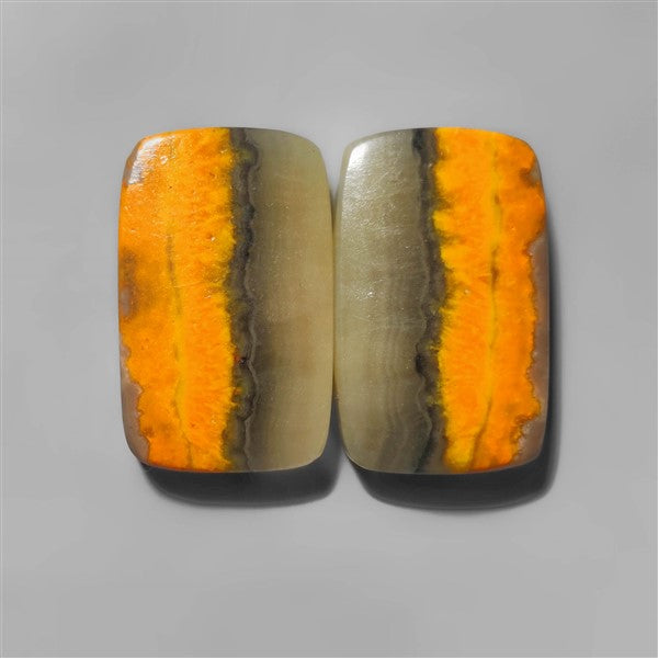 Bumble Bee Jasper