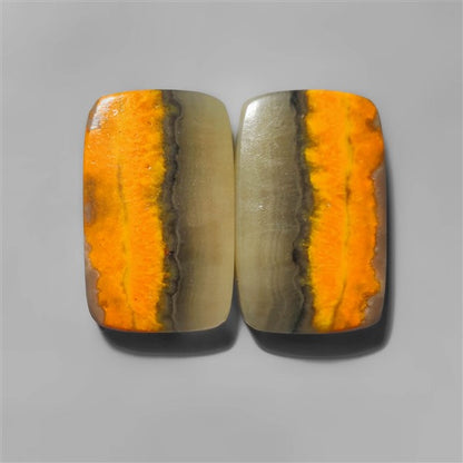 Bumble Bee Jasper