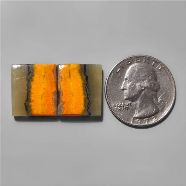 Bumble Bee Jasper