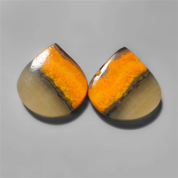 Bumble Bee Jasper