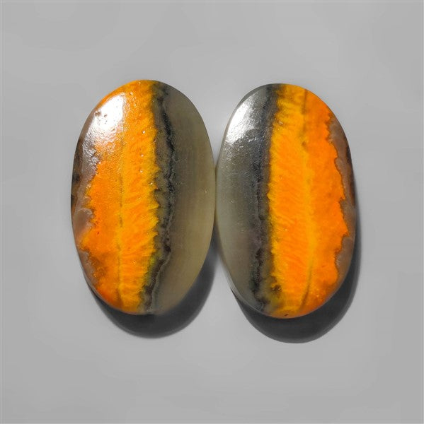 Bumble Bee Jasper