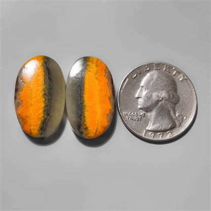 Bumble Bee Jasper