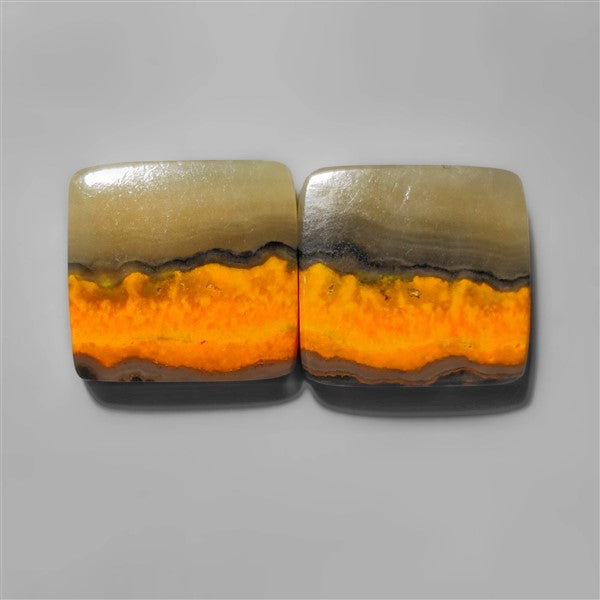 Bumble Bee Jasper