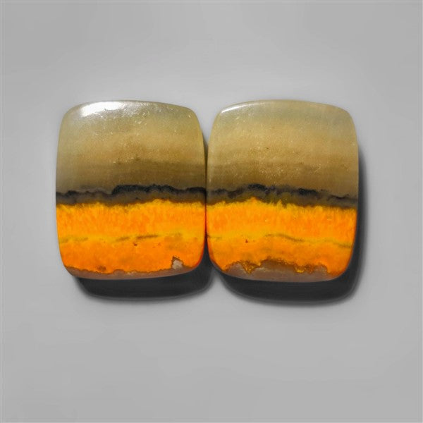 Bumble Bee Jasper